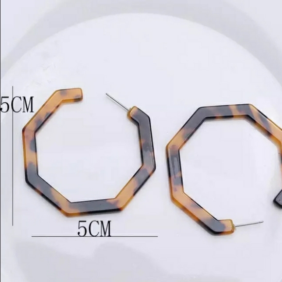 Acrylic Hexagonal Earrings - Picture 2 of 4